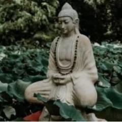 María José Carbó  Carretero