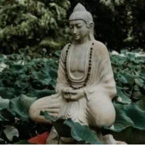 María José Carbó  Carretero