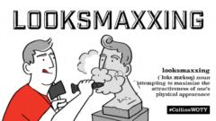 meme-Primero Looksmaxxing