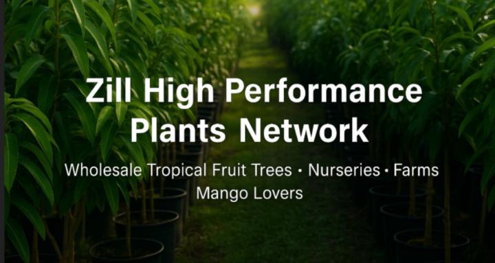 Zills Nursery Alliance