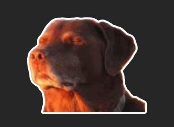 Le DoDo