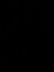 Hatim-Saâd El Ghitaoui