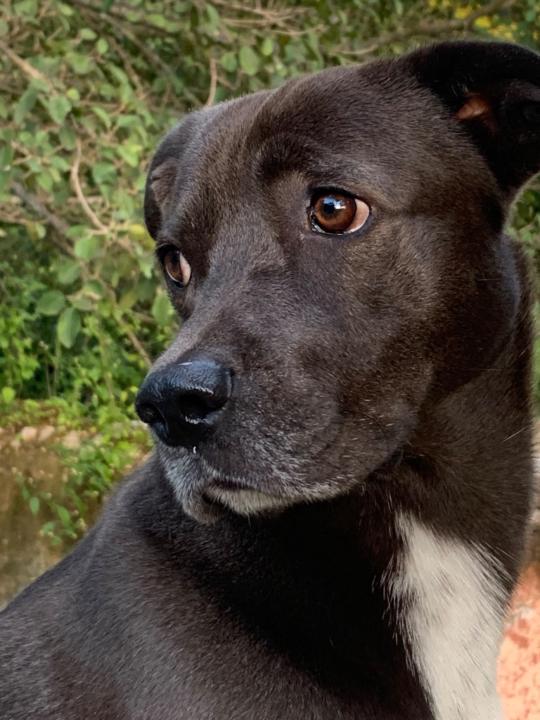 Anne-Sophie Salvador