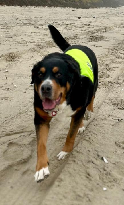 Małgorzata Buchowiecka