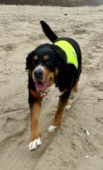 Małgorzata Buchowiecka