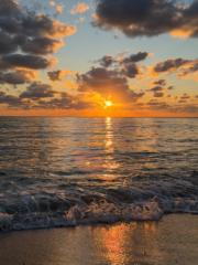 Agostina Schamberger