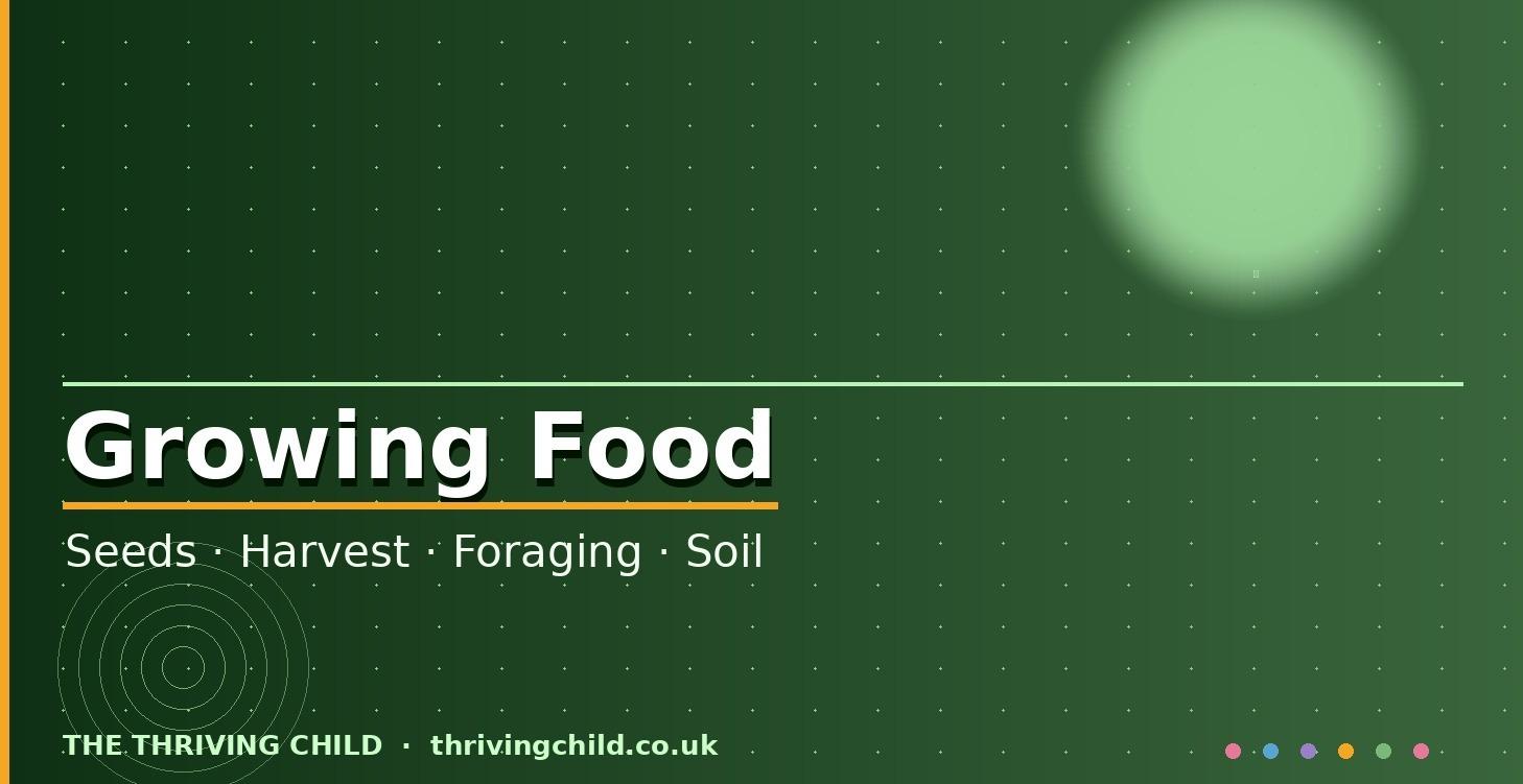 🌱 Growing Food