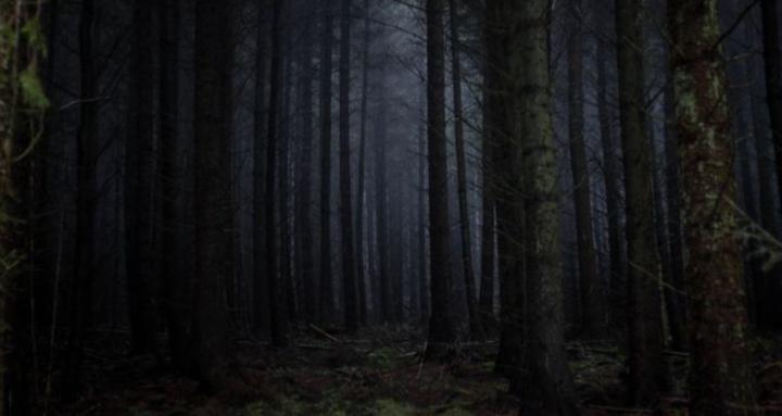 Moonlight Social Club