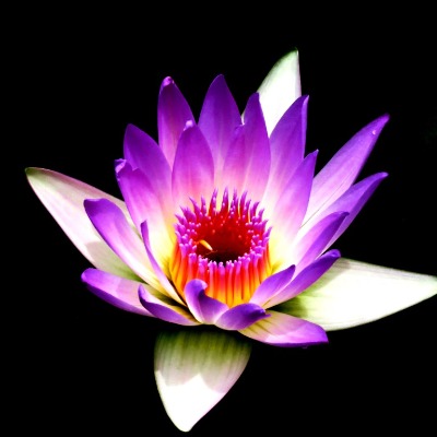 Sandeep Mukhergee