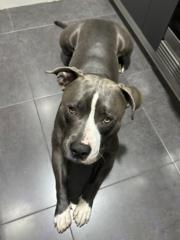 María José Alcántara