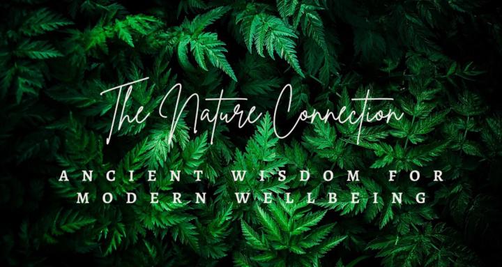 The Nature Connection