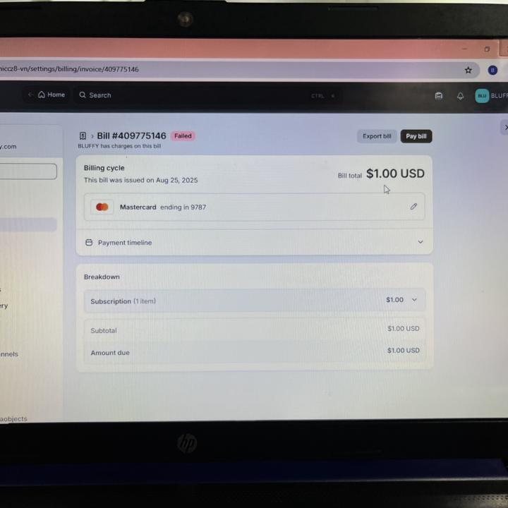 Website 