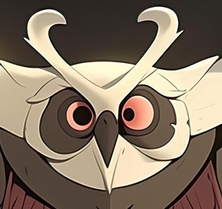 Owl White