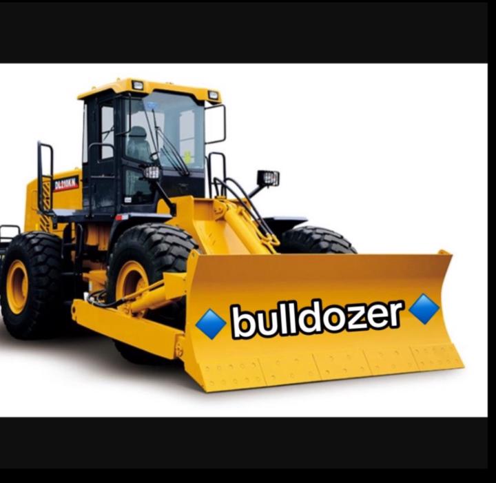 Bulldozer Bull