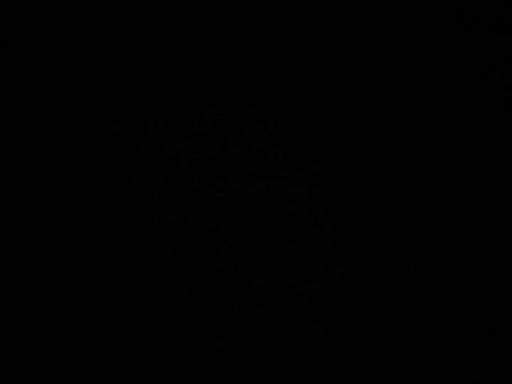 رشا الرويلي