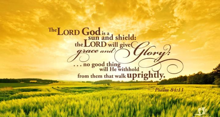 "Wholeness" Grief Therapy