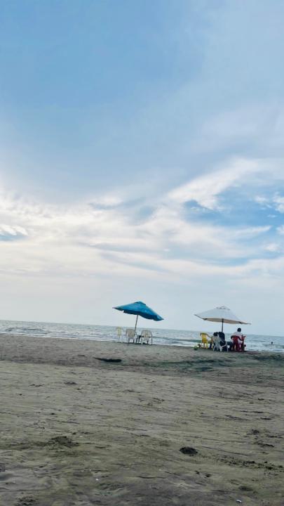 Maria Fernanda Ardila