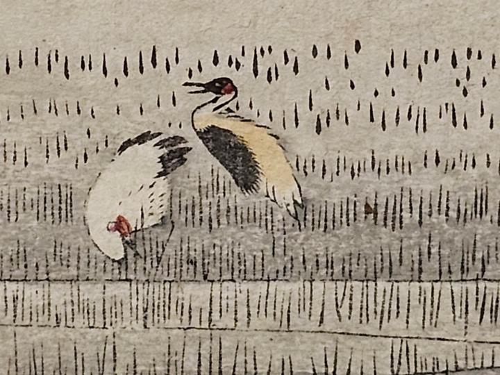 小如 黃