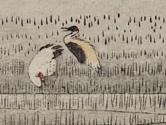 小如 黃