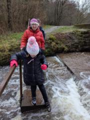 Karen McDonaugh-Nicholls