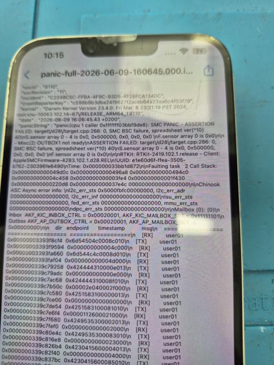 Panic full iphone 14 plus