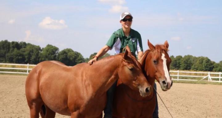 Whisler Equine Training 