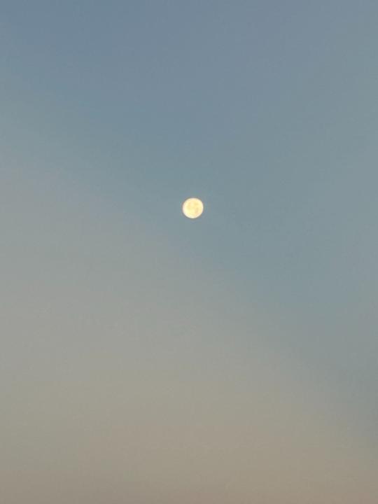 Antonio Amadeo Carbonell Diaz