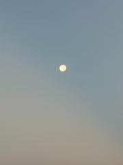 Antonio Amadeo Carbonell Diaz