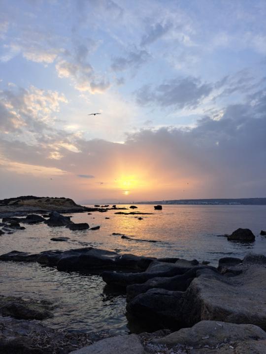 Unai Adrian Pérez de Arrilucea