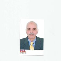 Mohamed wagih Loutfy