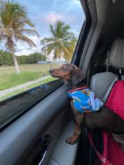 Millinissa Rodriguez Esmurria