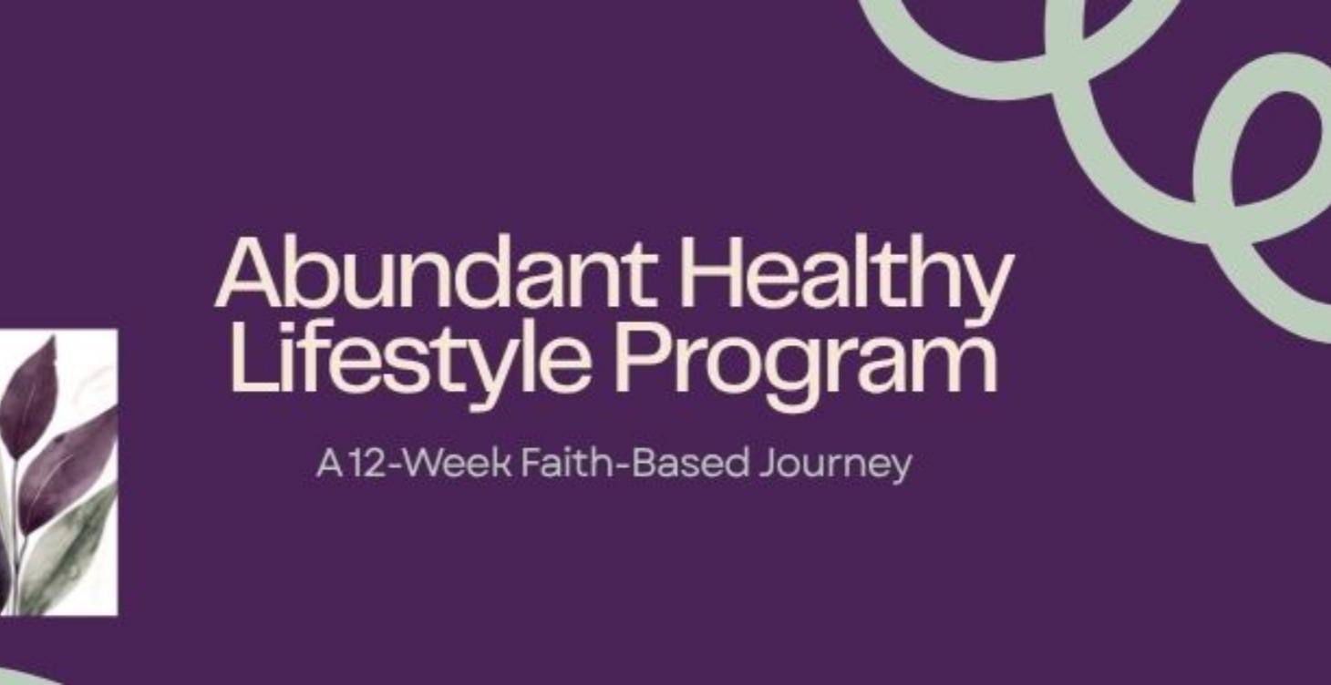 Abundant Healthy Lifestyle - 12 week program.