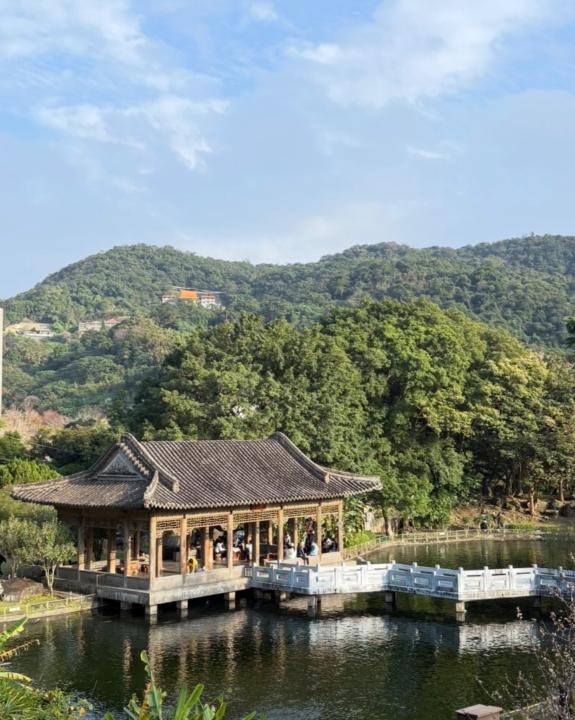 沛芝 蔡