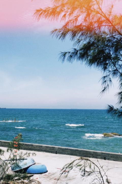 Nguyễn Quỳnh Anh