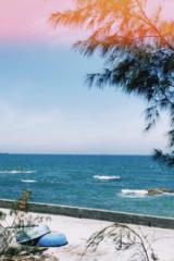 Nguyễn Quỳnh Anh