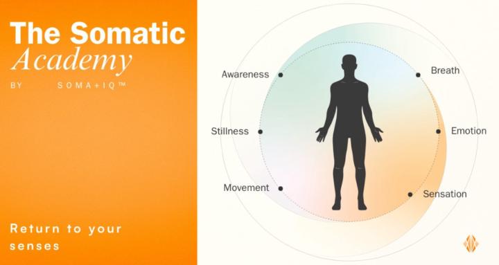 The Somatic Academy by Soma+IQ
