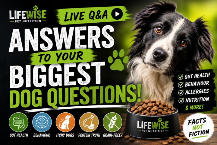  Lifewise LIVE Q&A Replay | Gut Health, Behaviour, Allergies & Nutrition Explained