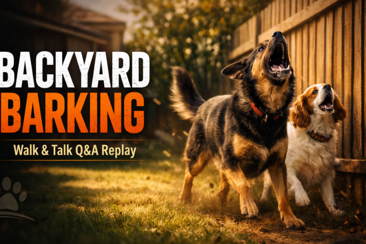 🎥 Walk & Talk Q&A Replay is LIVE
