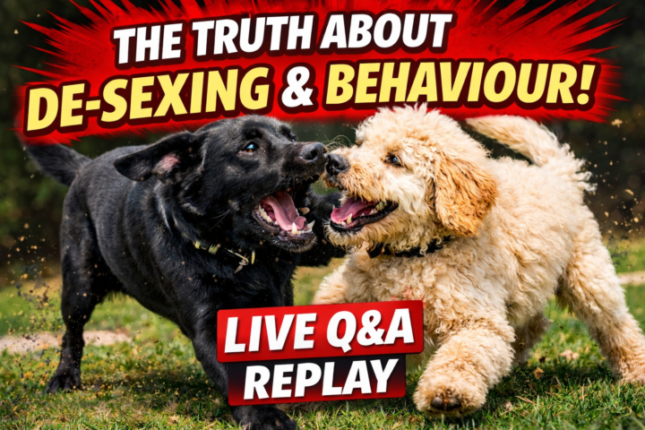 Live Walk & Talk Q&A Replay!