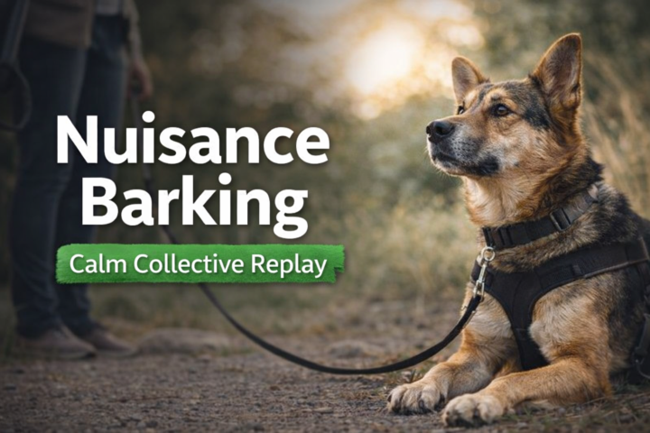 Calm Collective Replay – Nuisance Barking