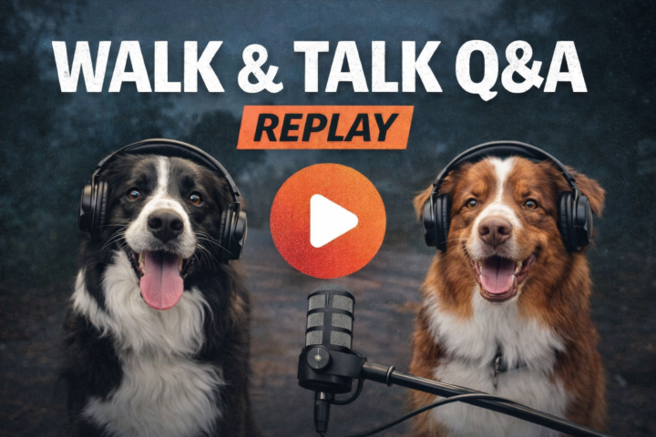 Walk & Talk Q&A Replay is now live 🐾