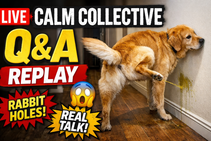 🔥 Calm Collective Replay is LIVE 🔥
