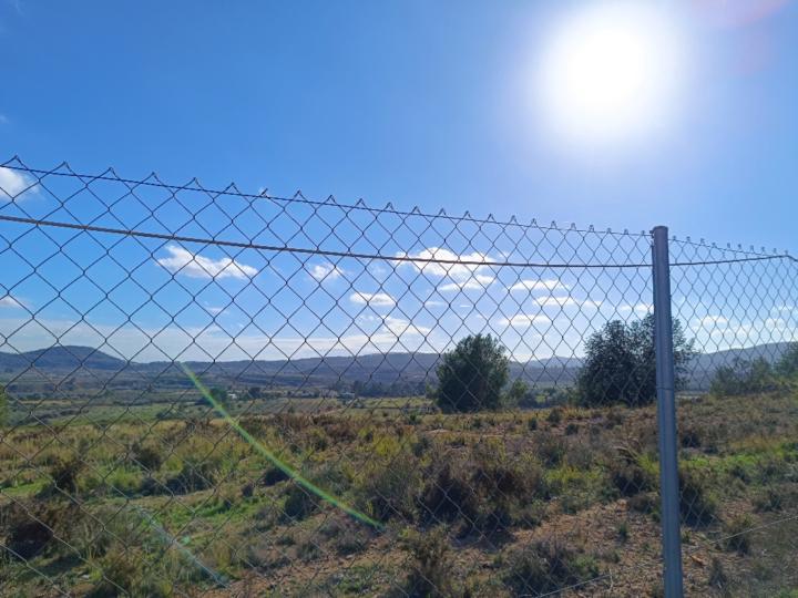 Francisco Javier Alonso Gisbert