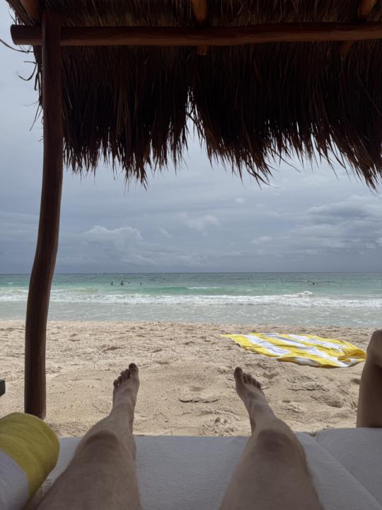I’m in Mexico (and still alive) 