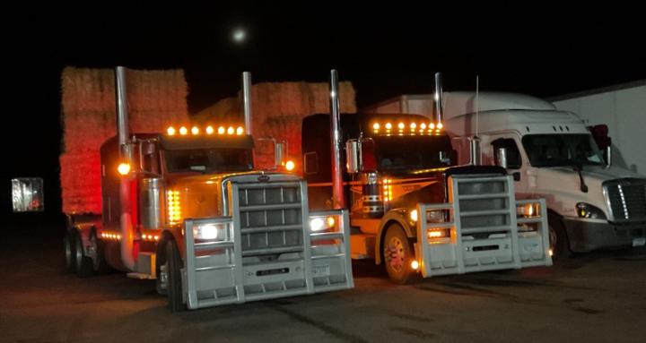 Trucking-with_Mac