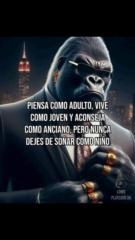 Miguel C
