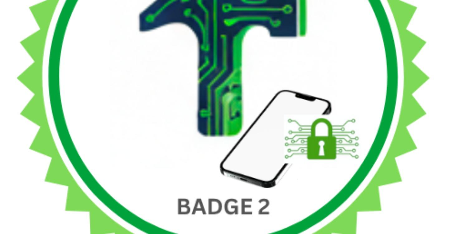 Badge 2 - Phone Locked. Business Safe. Cyber Safe.