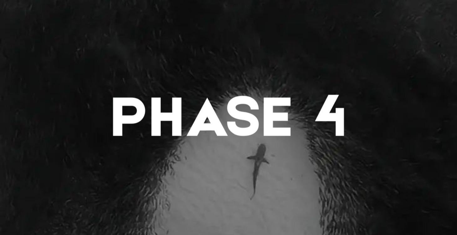 Phase 4