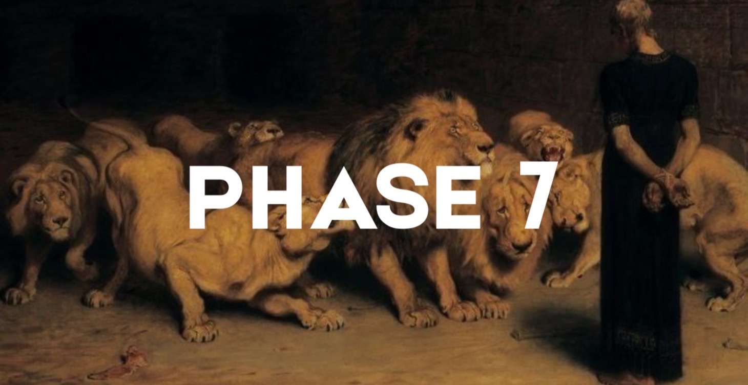 Phase 7