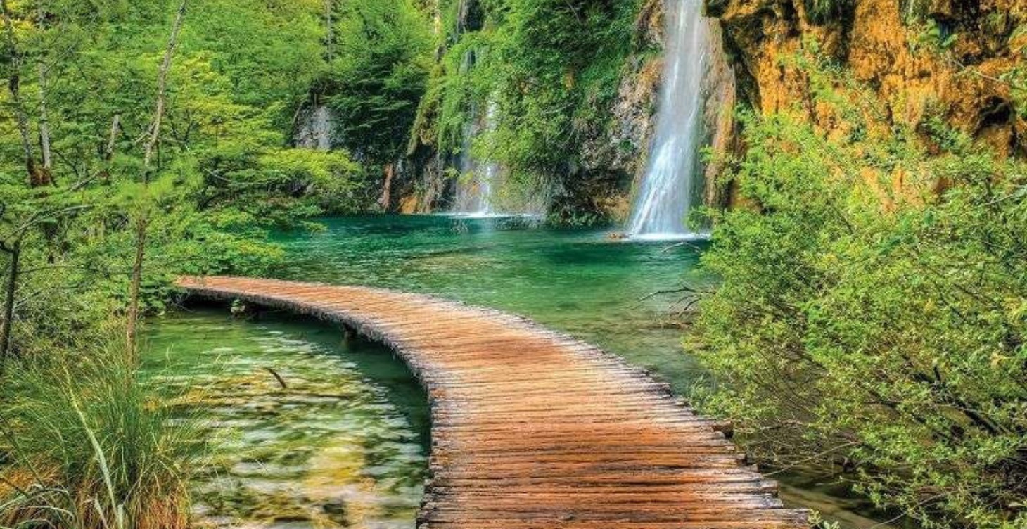 365-day Gratitude Challenge!!